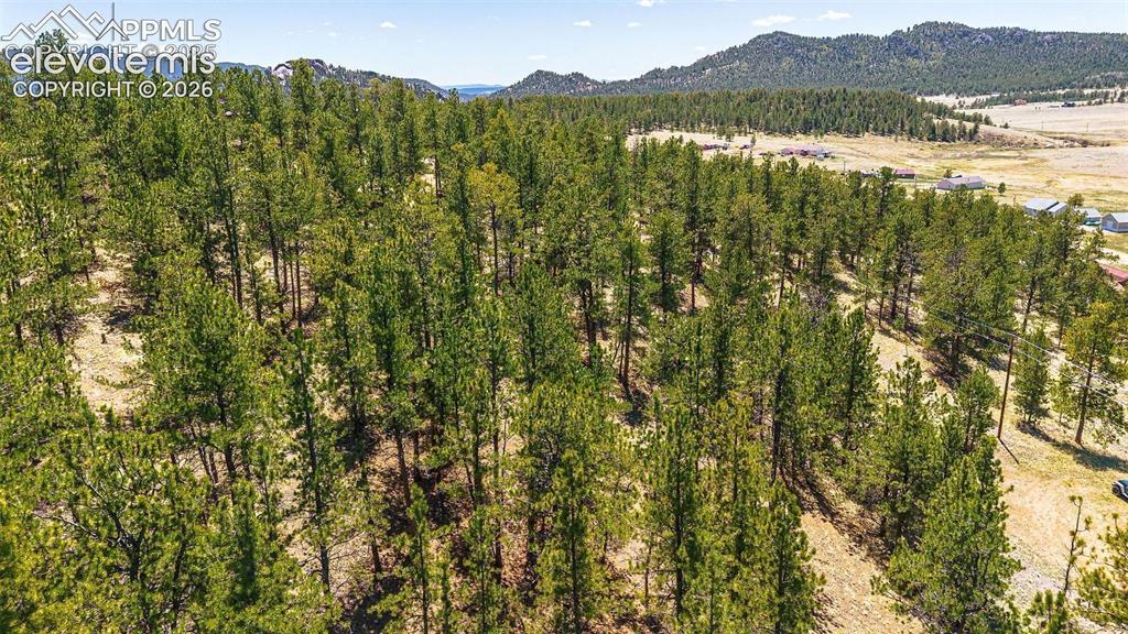 56 Dallas Park Cir., Florissant, CO 80816