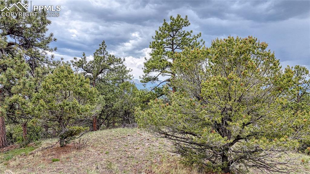 44 Honeysuckle Ter., Westcliffe, CO 81252