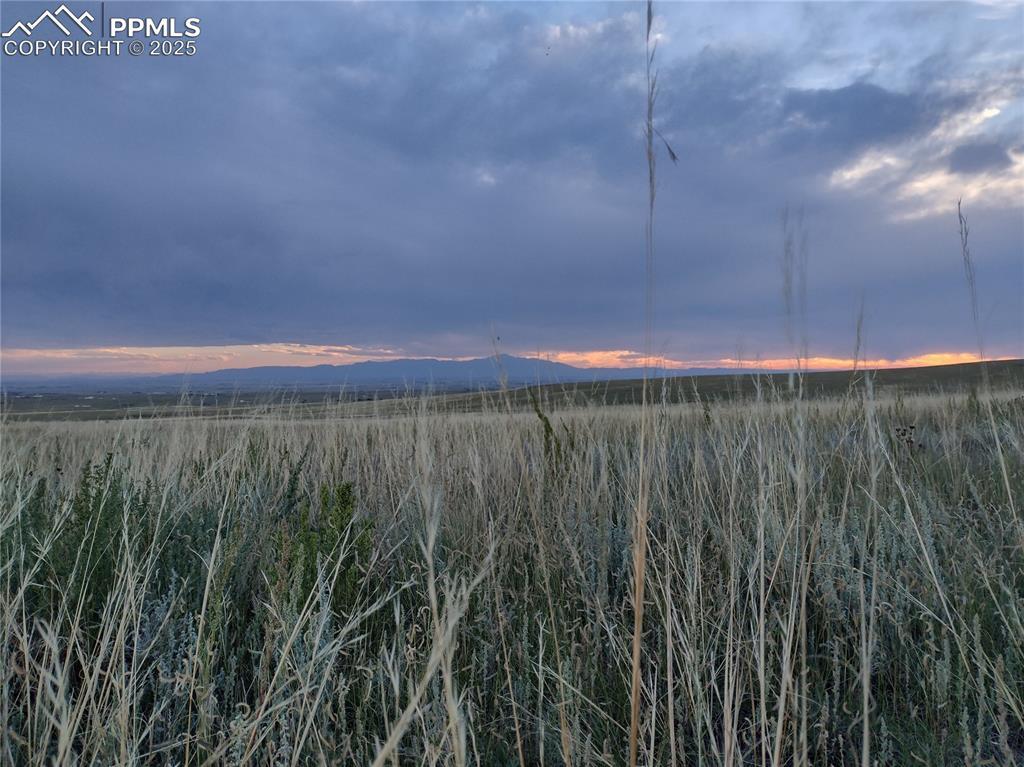 29535 Tallgrass View, Calhan, CO 80808
