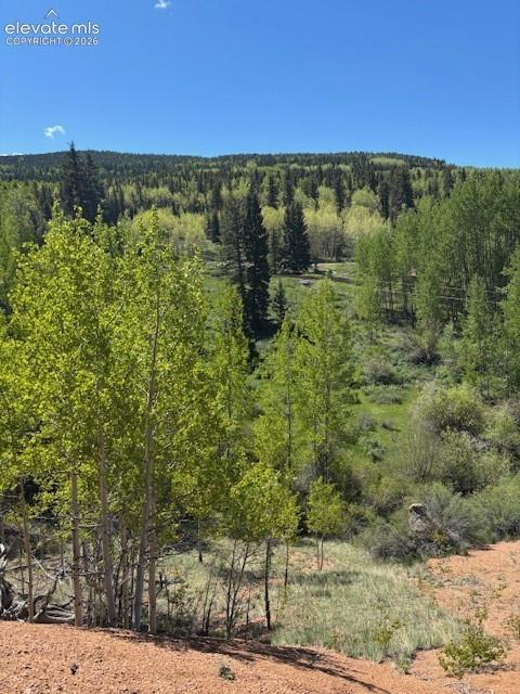 124 Yorktown Rd., Cripple Creek, CO 80813
