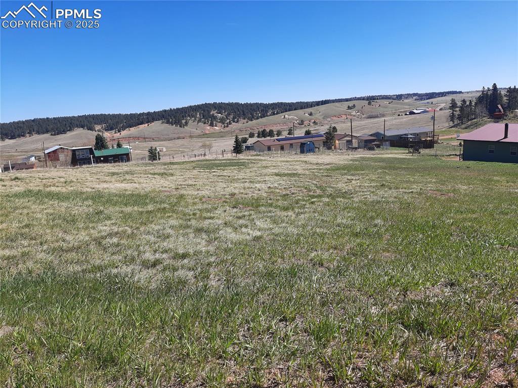 149 Will Scarlet Dr., Divide, CO 80814