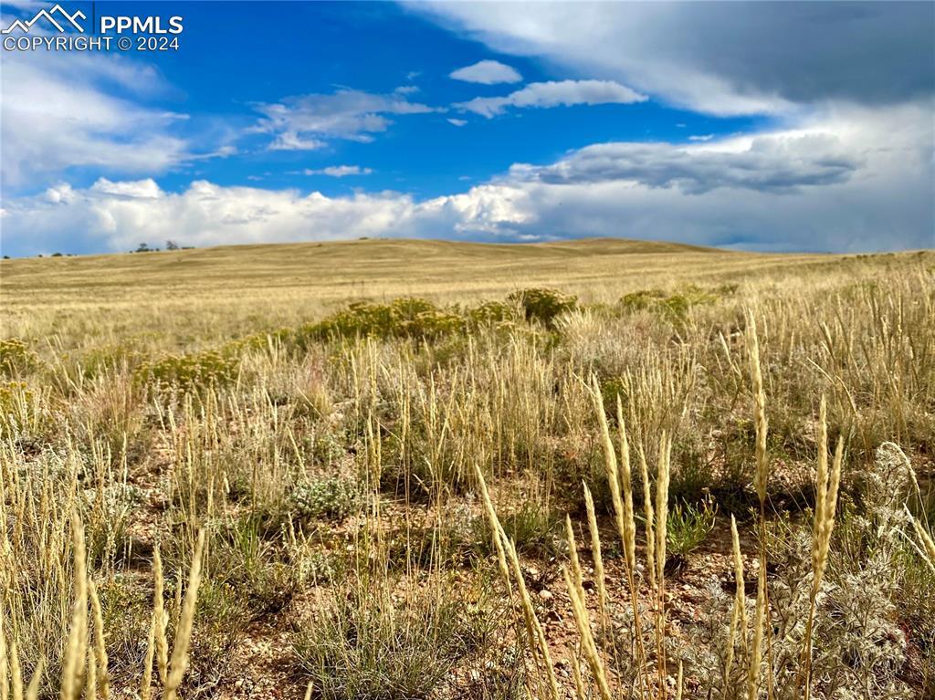 Sioux Rd., Hartsel, CO 80449