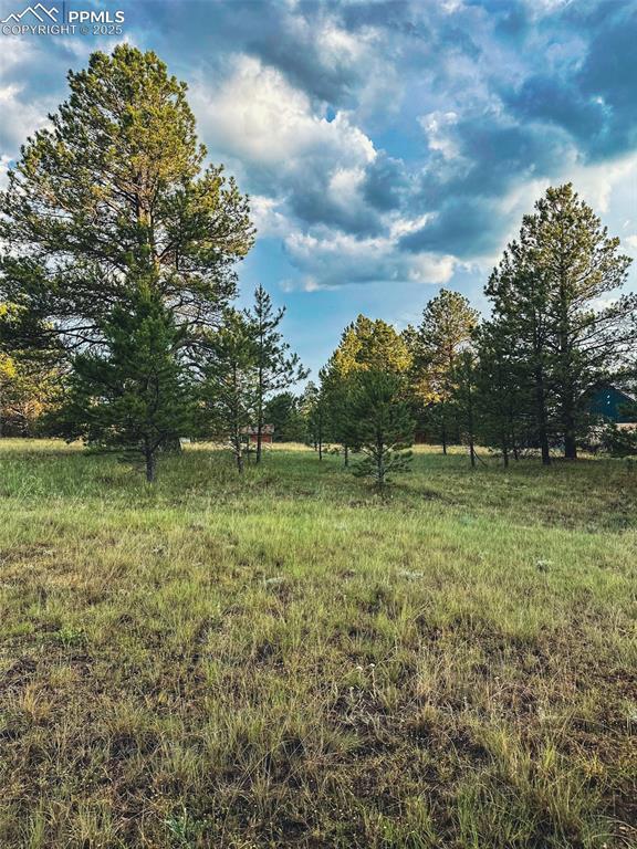 34 Quartz Cir., Florissant, CO 80816