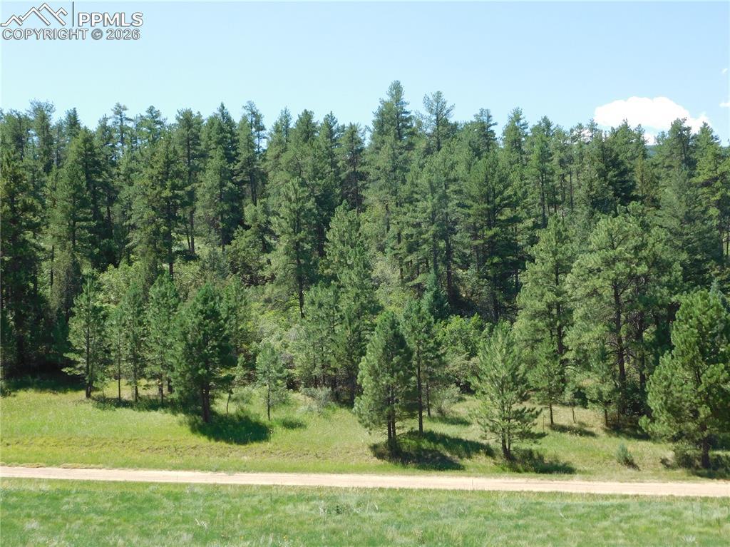 4668 Comanche Dr., Larkspur, CO 80118