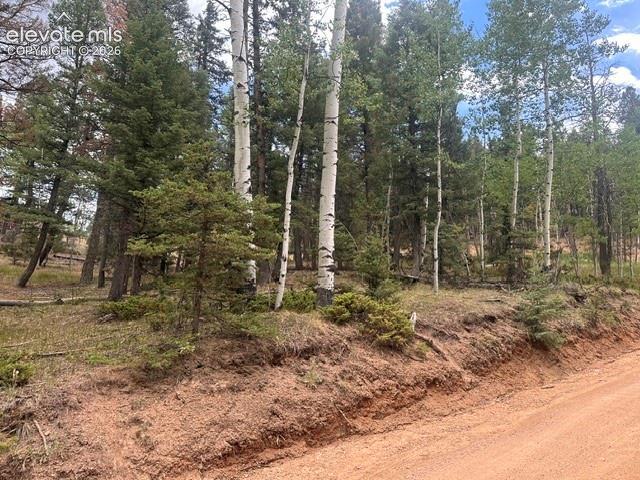 687 Trout Haven Rd., Florissant, CO 80816
