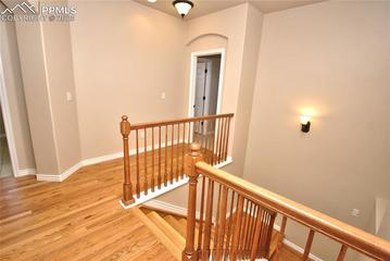 10835 Tincup Creek Point, Colorado Springs, CO 80908