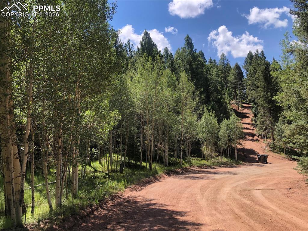 3015 N Mountain Estates Rd., Florissant, CO 80816