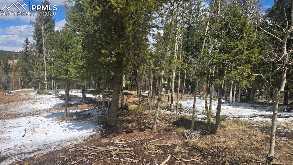 144 Little Bear Peak Rd., Florissant, CO 80816