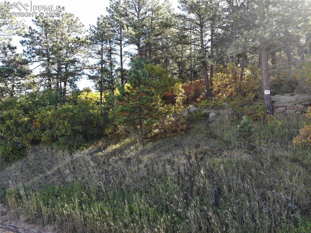 Oakdale Ter., Monument, CO 80132