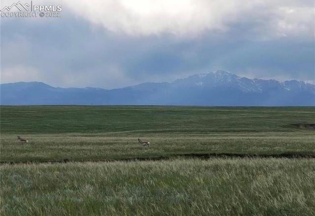 7992 Buckskin Ranch View, Peyton, CO 80831