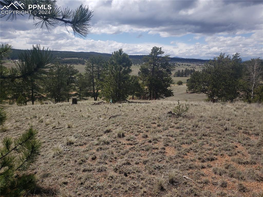 1938 S Mountain Estates Rd., Florissant, CO 80816