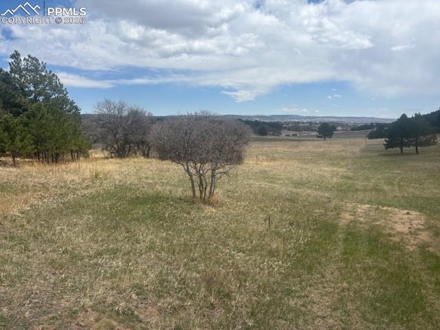 3615 Summertime Ct., Monument, CO 80132