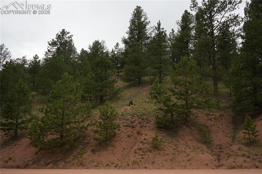 557 Gold King Dr., Cripple Creek, CO 80813