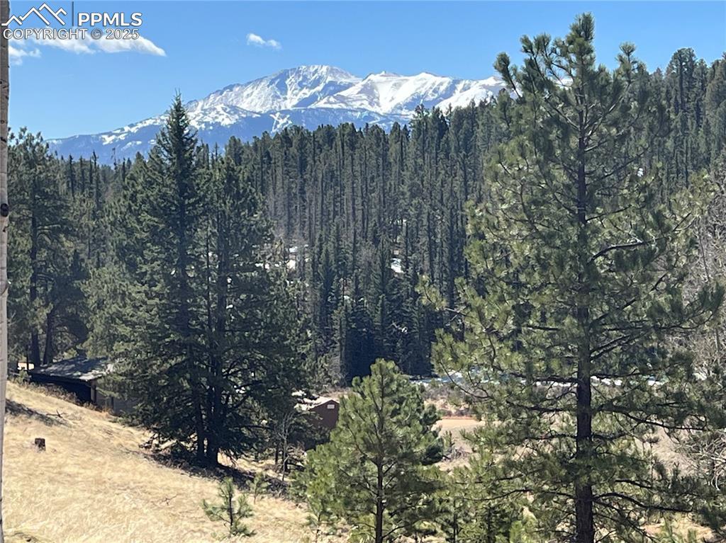 194 Rainbow Tr., Divide, CO 80814