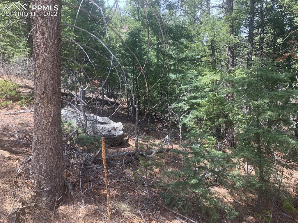 3435 Little Turkey Creek Rd., Colorado Springs, CO 80926