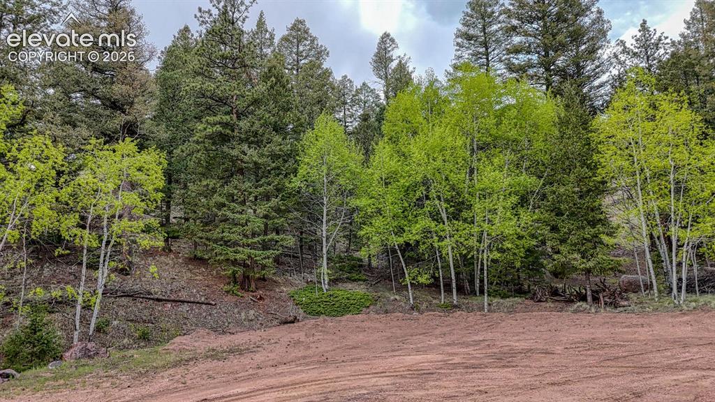 918 Pinon Ln., Florissant, CO 80816
