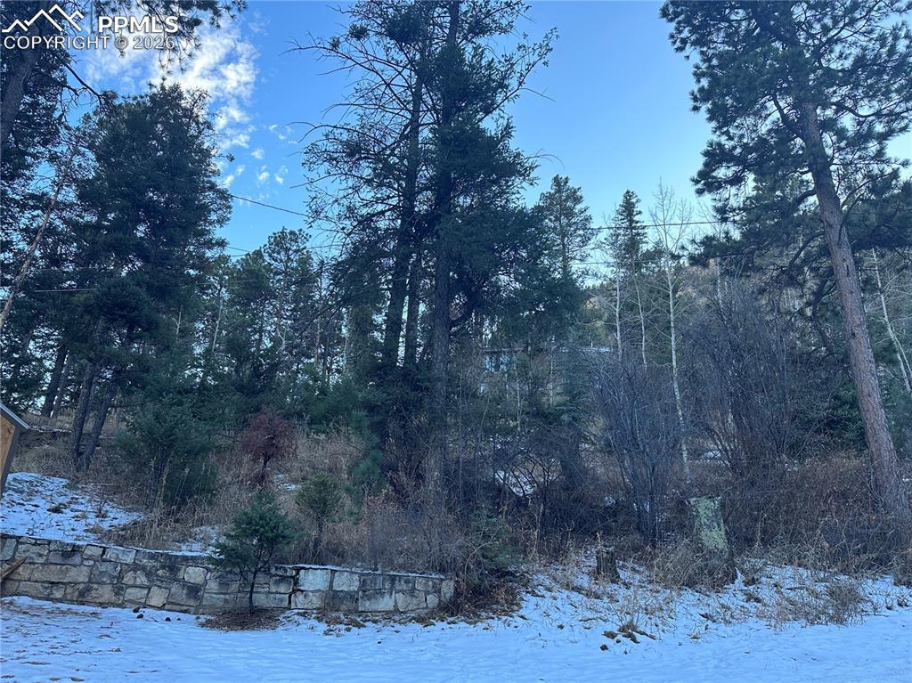 TBD Wildwood Rd., Cascade, CO 80809