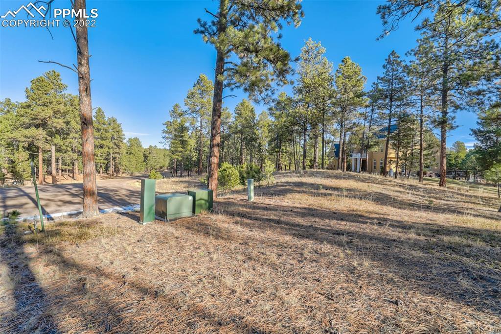 17501 Abert Ridge View, Colorado Springs, CO 80908