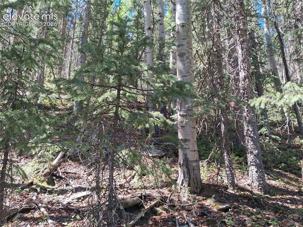 2462 Anges Dr., Cripple Creek, CO 80813