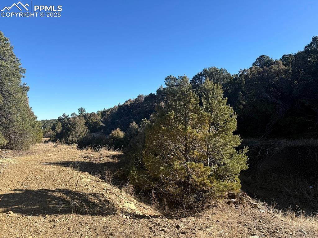 8100 La Belle Tr., Trinidad, CO 81082