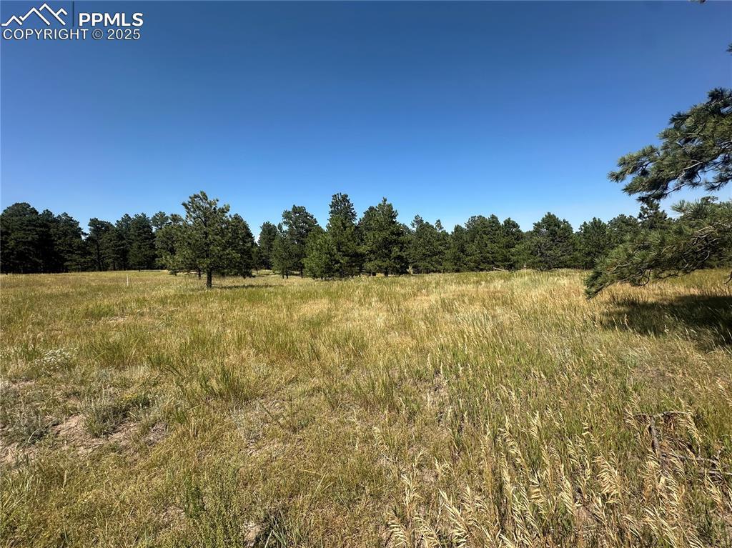 10437 Alamar Way, Colorado Springs, CO 80908