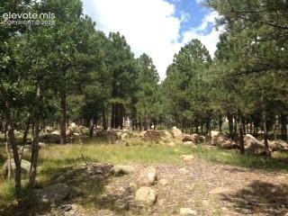 667 Silver Oak Grove, Colorado Springs, CO 80906