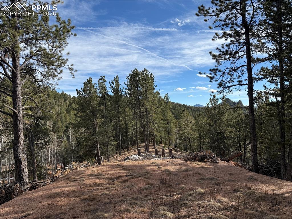 162 Eagle Dr., Divide, CO 80813