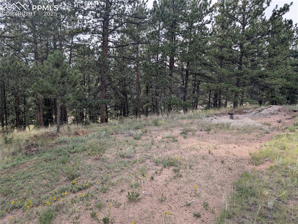1379 S Mountain Estates Rd., Florissant, CO 80816