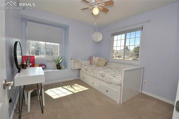 8910 Alpine Valley Dr., Colorado Springs, CO 80920