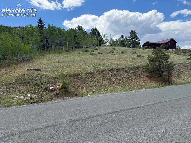 7142 County Road 92 Rd., Lake George, CO 80827
