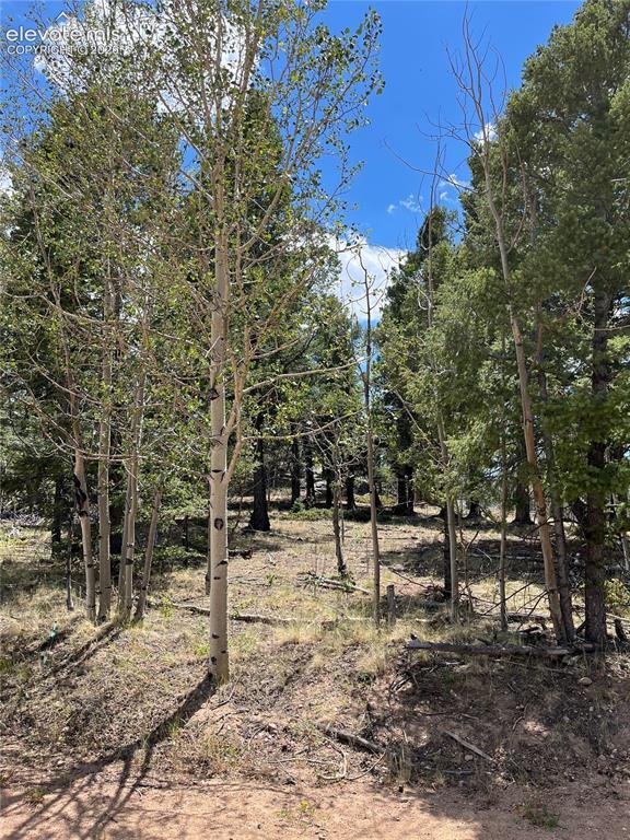 506 Castle Mountain Dr., Guffey, CO 80820