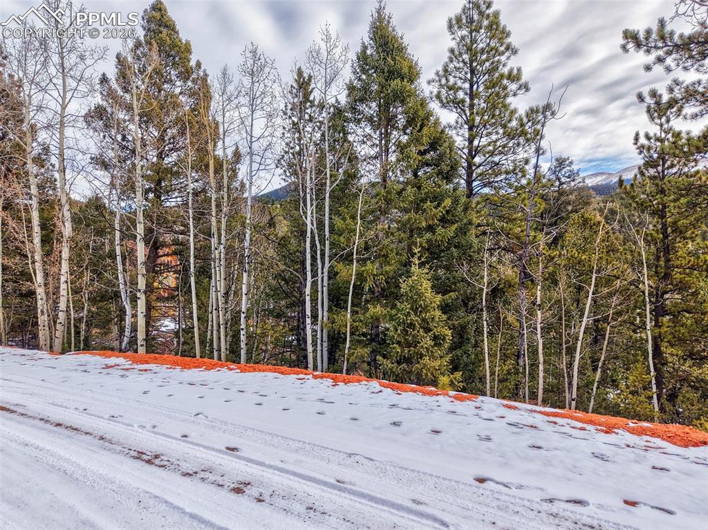 1181 Calcite Dr., Divide, CO 80814