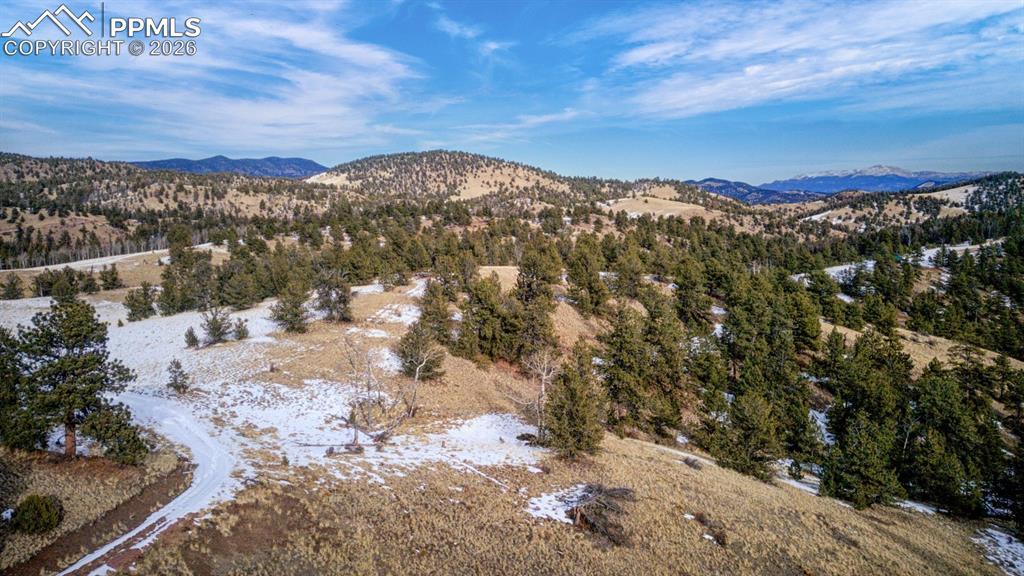 13 Buckhorn Tr., Guffey, CO 80820