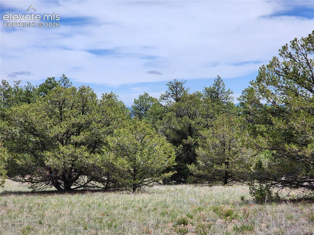 000 7th Tr., Cotopaxi, CO 81223