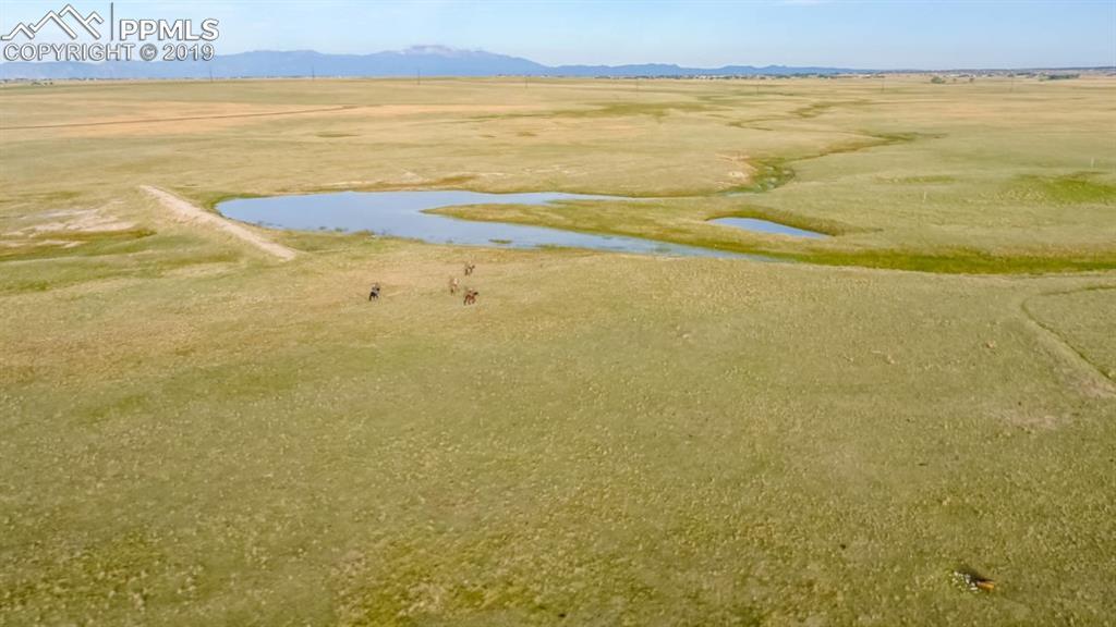 7668 Buckskin Ranch View, Peyton, CO 80831