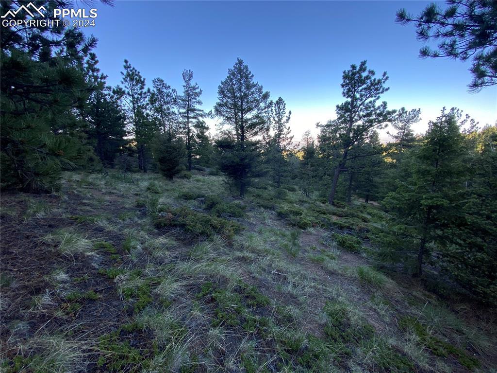 285 Forest Rd., Manitou Springs, CO 80829