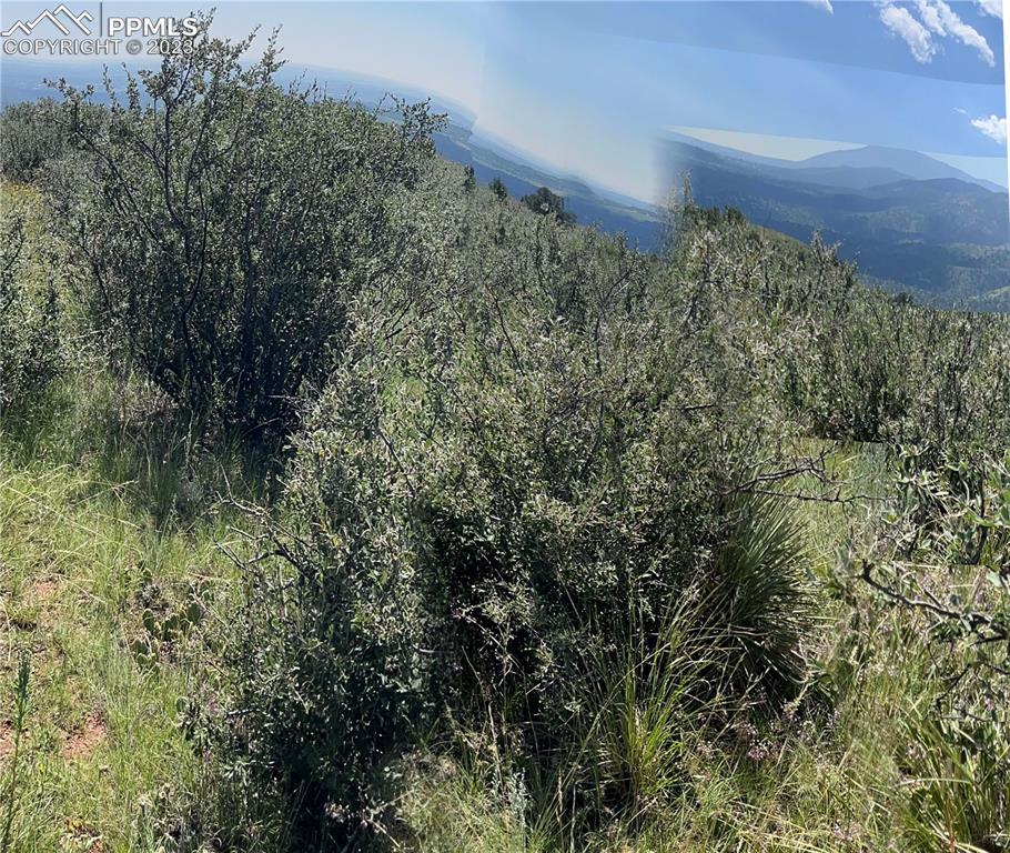 Black Canyon Rd., Colorado Springs, CO 80904