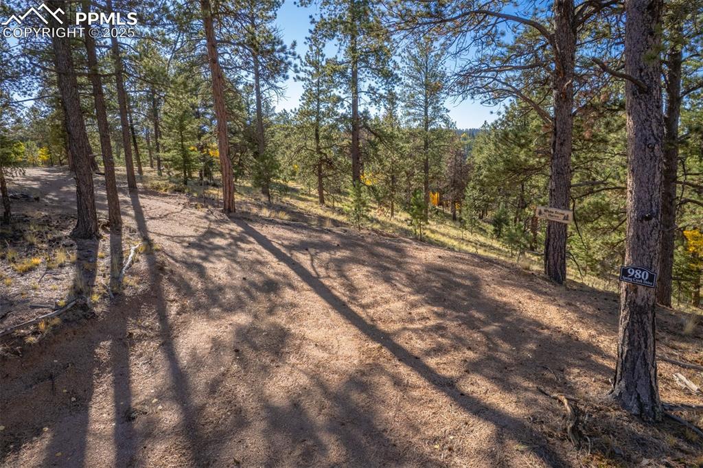 980 Spring Creek Dr., Divide, CO 80814