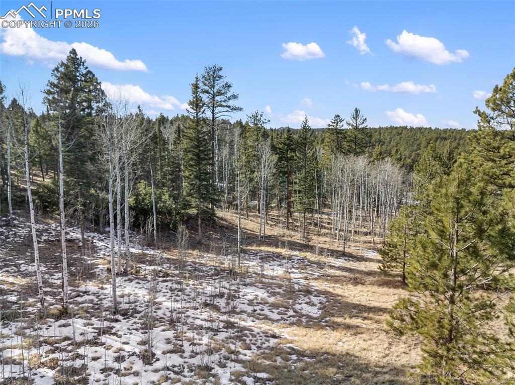 Lot 20A Echo Lake Dr., Lake George, CO 80827