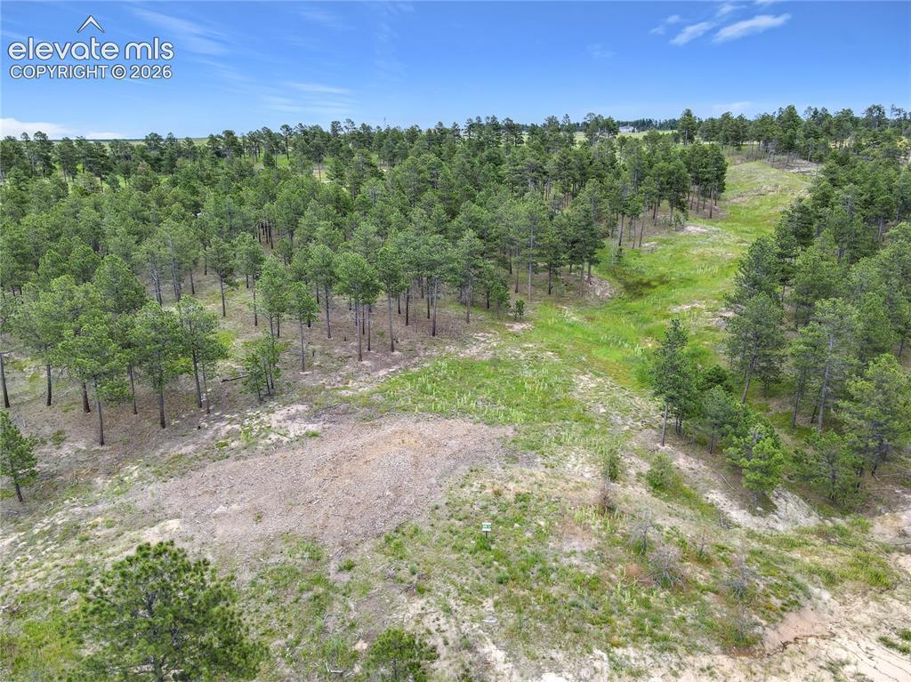 14863 Bourbon Ct., Colorado Springs, CO 80908