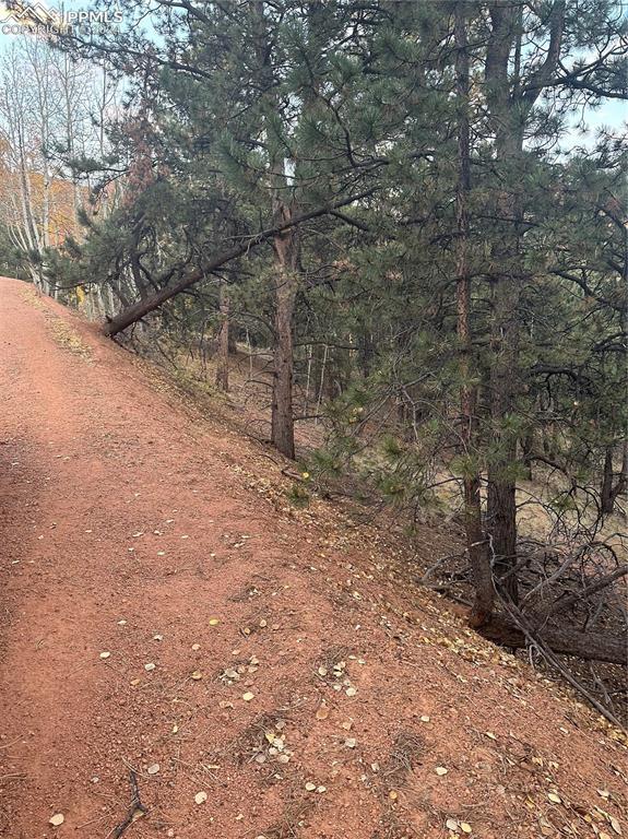 418 Valley Rd., Divide, CO 80814
