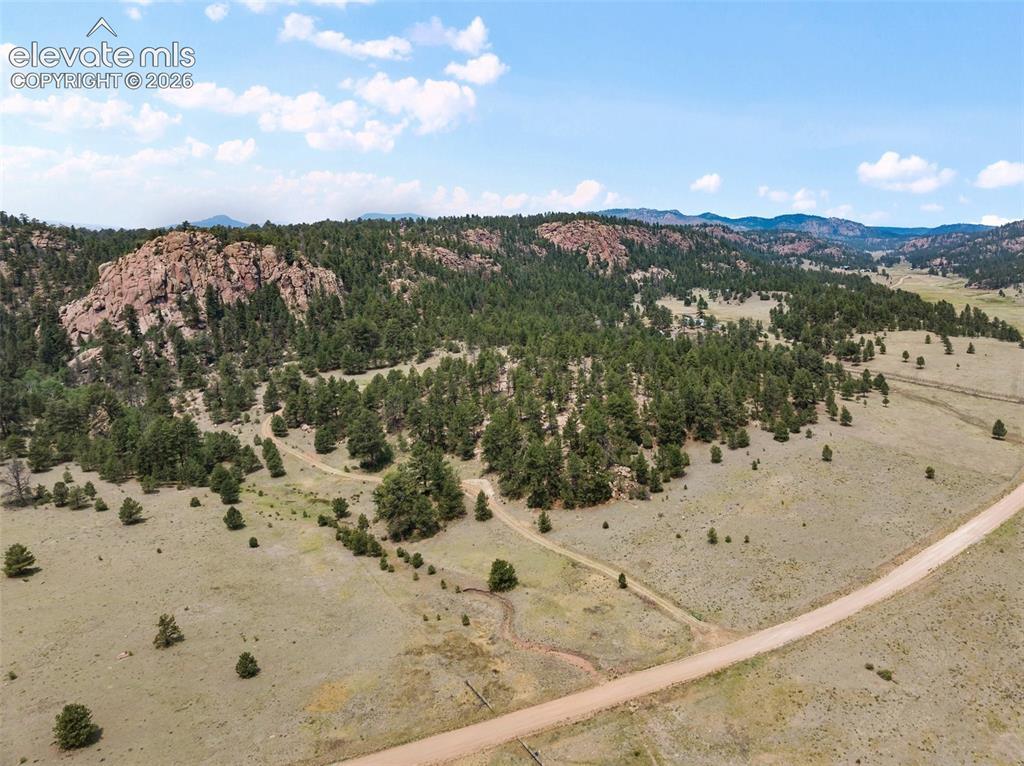 1137 County Road 111, Florissant, CO 80816