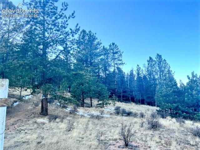 233 Rabbil Creek Tr., Florissant, CO 80816