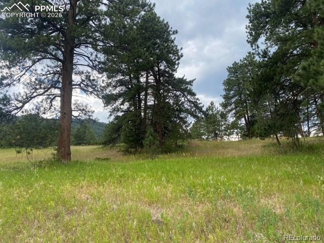 8036 Settlers Dr., Morrison, CO 80465