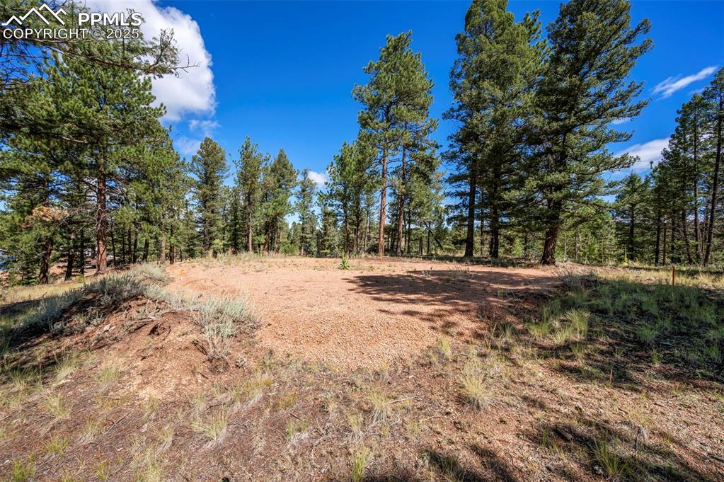 210 Donzi Tr., Florissant, CO 80816