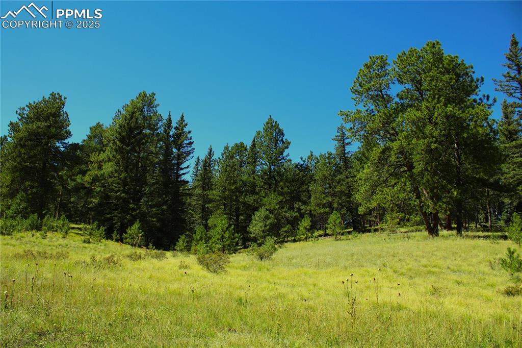 6500 County Road 5 Rd., Divide, CO 80814