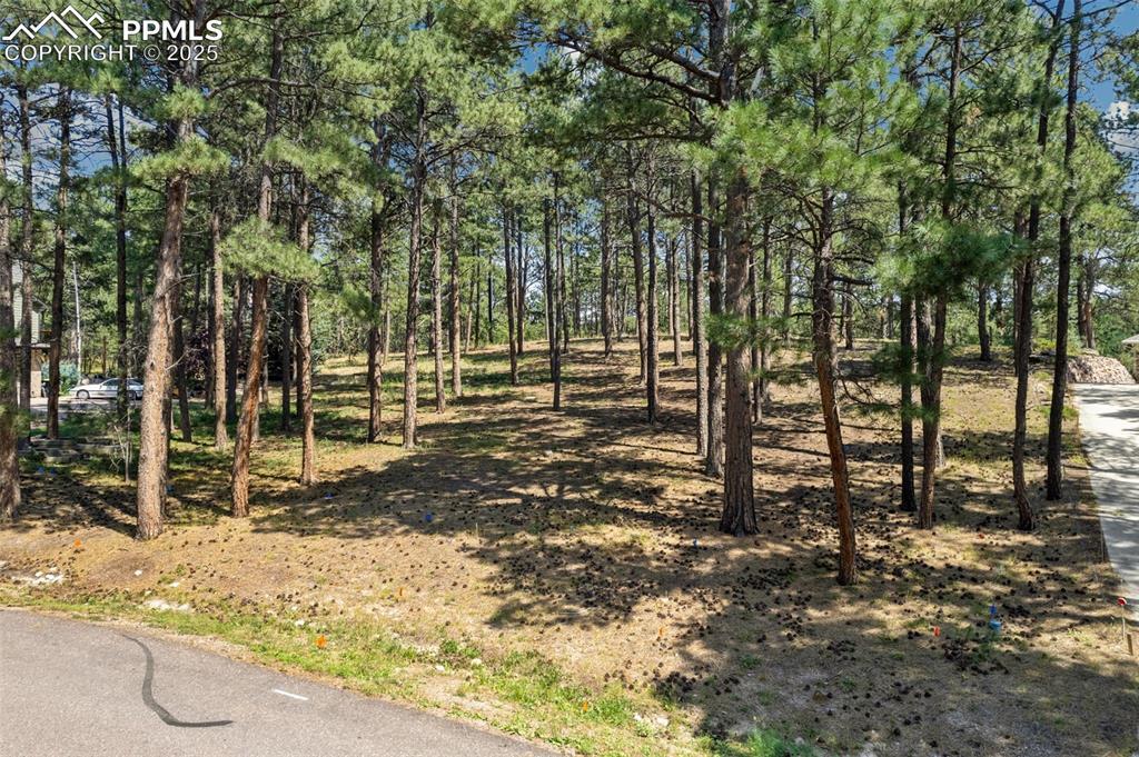 18445 Lazy Summer Way, Monument, CO 80132