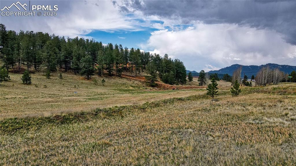 188 High Pasture Rd., Florissant, CO 80816