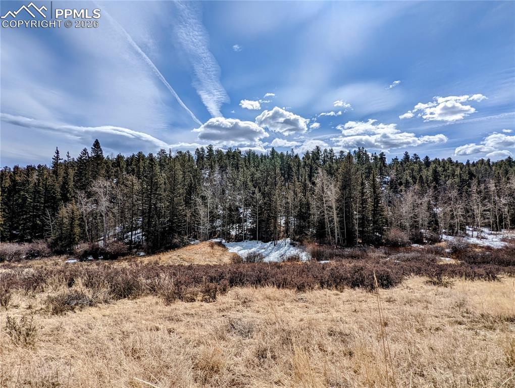 1620 Park Ridge Dr., Guffey, CO 80820