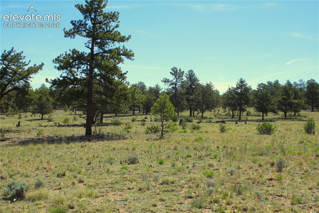 31572 Highway 9, Fairplay, CO 80449
